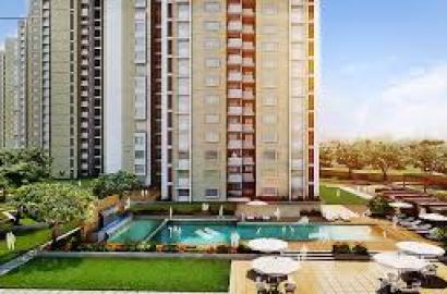 REPUBLIC OF WHITEFIELD